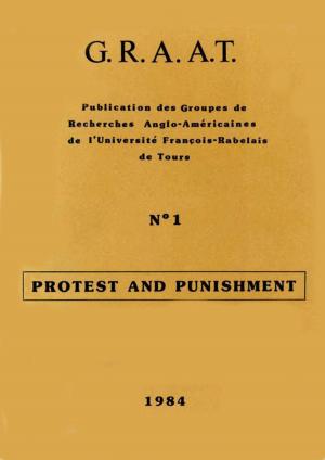 Cover of the book Protest and Punishment by Corporación de Estudios y Publicaciones Ecuador