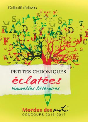 Cover of the book Petites chroniques éclatées by Collectif d’élèves