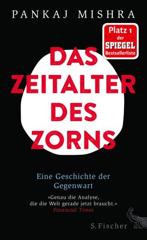 Cover of the book Das Zeitalter des Zorns by Prof. Dr. Dieter Kühn