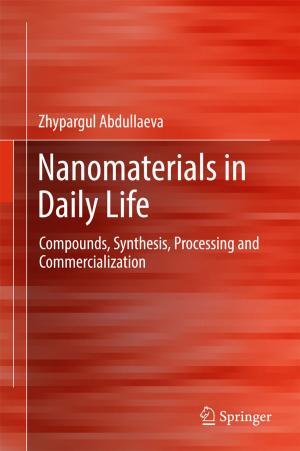 Cover of the book Nanomaterials in Daily Life by 