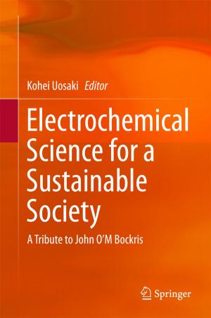 Cover of the book Electrochemical Science for a Sustainable Society by Theodoros Zachariadis