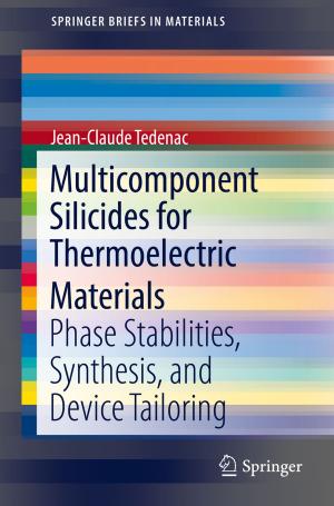 Cover of the book Multicomponent Silicides for Thermoelectric Materials by José Antonio Carrillo, Alessio Figalli, Juan Luis Vázquez, Giuseppe Mingione, Manuel del Pino