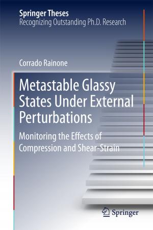 Cover of the book Metastable Glassy States Under External Perturbations by Chiara Brombin, Luigi Salmaso, Lara Fontanella, Luigi Ippoliti, Caterina Fusilli