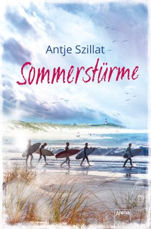 Cover of the book Sommerstürme by Stefanie Taschinski
