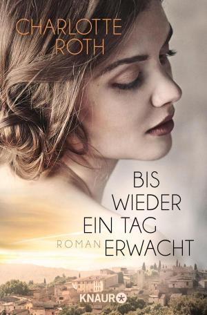 Cover of the book Bis wieder ein Tag erwacht by Constanze Köpp