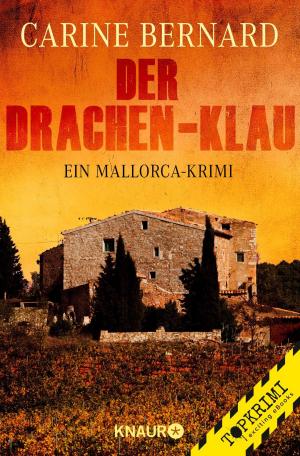 Book cover of Der Drachen-Klau