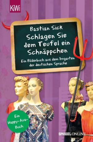 Cover of the book "Schlagen Sie dem Teufel ein Schnäppchen" by Maxim Biller