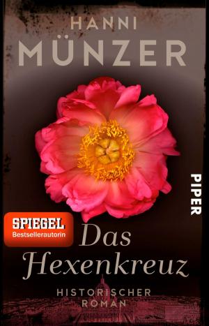 Cover of the book Das Hexenkreuz by Darrell Egbert