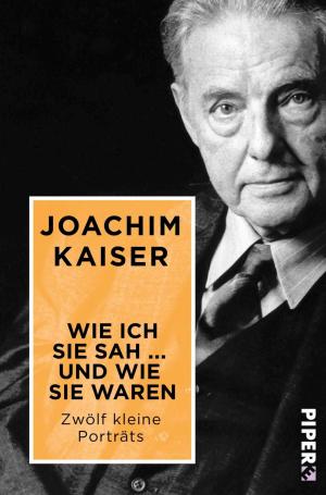 Cover of the book Wie ich sie sah ... und wie sie waren by Hanni Münzer