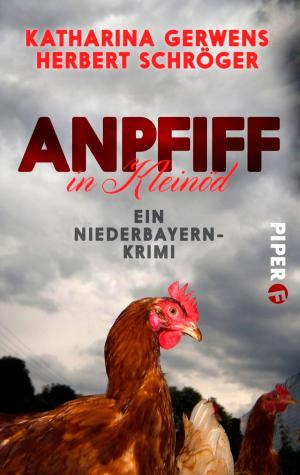 Cover of the book Anpfiff in Kleinöd by Joachim Kaiser