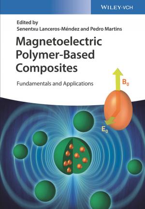 Cover of the book Magnetoelectric Polymer-Based Composites by Hedwig Teglasi