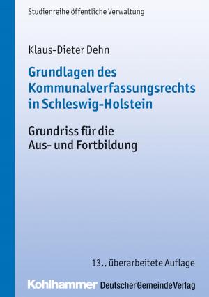 Cover of the book Grundlagen des Kommunalverfassungsrechts in Schleswig-Holstein by Reinhard Stöckel, Christian Volquardsen