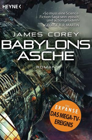 Book cover of Babylons Asche