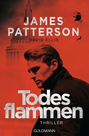 Cover of the book Todesflammen by Meredith Rae Morgan