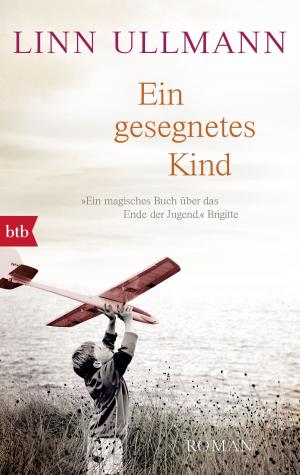 Cover of the book Ein gesegnetes Kind by Håkan Nesser