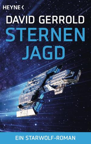 Book cover of Sternenjagd
