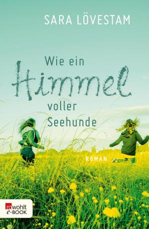 Cover of the book Wie ein Himmel voller Seehunde by Martin Mosebach