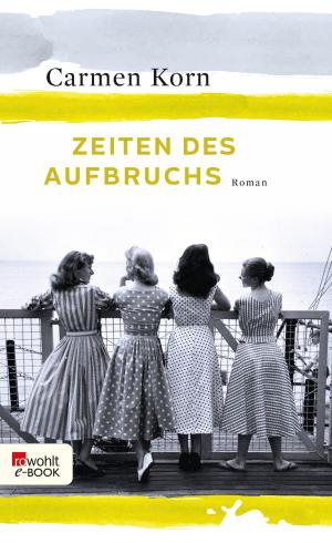 Cover of the book Zeiten des Aufbruchs by Holly-Jane Rahlens