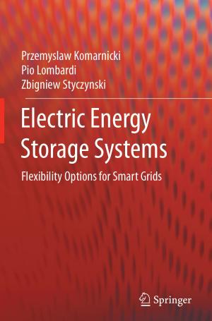 Cover of the book Electric Energy Storage Systems by Wolfgang Kämmerer