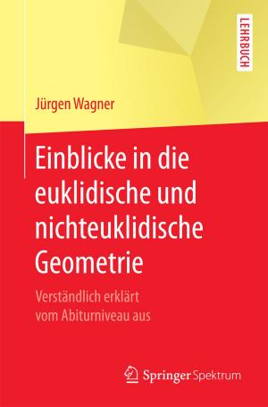 Cover of Einblicke in die euklidische und nichteuklidische Geometrie