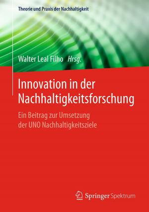 Cover of the book Innovation in der Nachhaltigkeitsforschung by Björn Feuerbacher