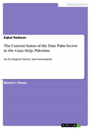 bigCover of the book The Current Status of the Date Palm Sector in the Gaza Strip, Palestine by 