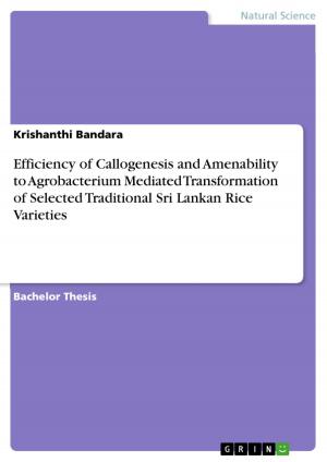Cover of the book Efficiency of Callogenesis and Amenability to Agrobacterium Mediated Transformation of Selected Traditional Sri Lankan Rice Varieties by Katrin Bernhardt