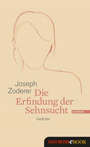Book cover of Die Erfindung der Sehnsucht