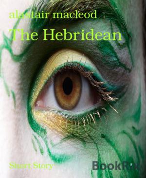Book cover of The Hebridean