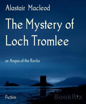 Book cover of The Mystery of Loch Tromlee