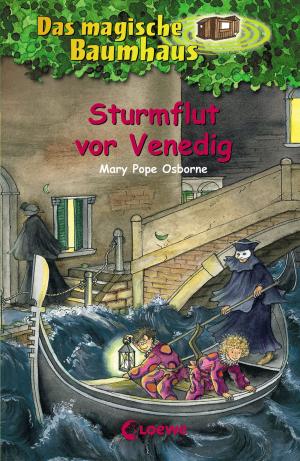Book cover of Das magische Baumhaus 31 - Sturmflut vor Venedig