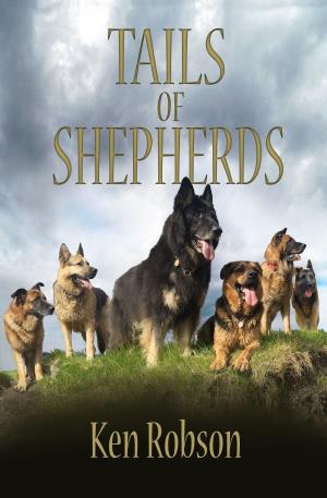Cover of the book Tails of Shepherds by Süleyman Tilmann Böhringer