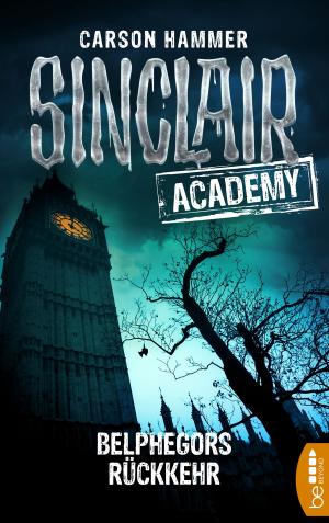 Cover of the book Sinclair Academy - 13 by P. E. Jones