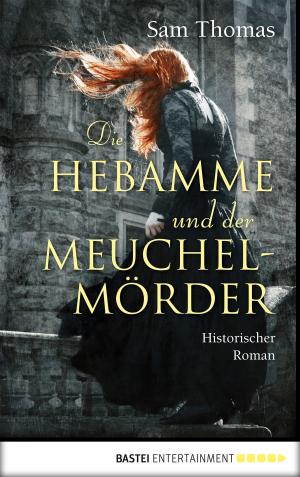 Cover of the book Die Hebamme und der Meuchelmörder by Simon Borner