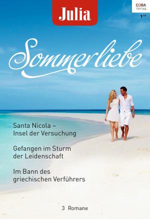 Book cover of Julia Sommerliebe Band 28