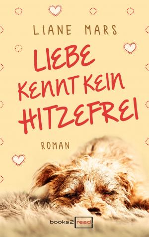 Cover of the book Liebe kennt kein Hitzefrei by Rachel Stoltzfus