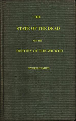 Book cover of The State of the Dead and the Destiny of the Wicked