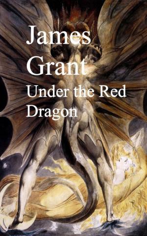Cover of the book Under the Red Dragon by Harriet Beecher Stowe