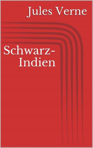 Cover of the book Schwarz-Indien by Kurt Jahn-Nottebohm