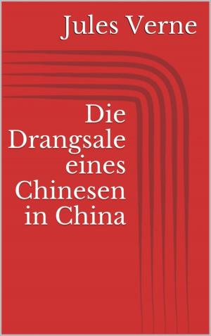 Cover of the book Die Drangsale eines Chinesen in China by Adam Jade Kadia
