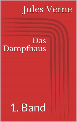 Book cover of Das Dampfhaus - 1. Band