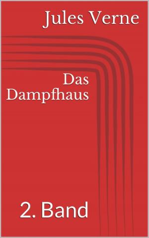 Cover of the book Das Dampfhaus - 2. Band by Dana Müller, Jennifer Müller