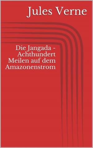 Cover of the book Die Jangada - Achthundert Meilen auf dem Amazonenstrom by Michael Möhring