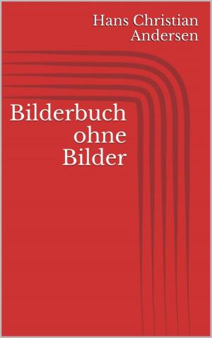 Cover of the book Bilderbuch ohne Bilder by Danny Wilson