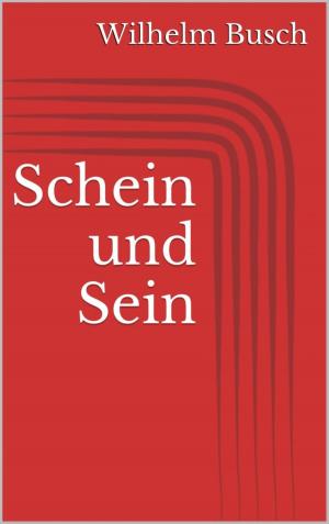Book cover of Schein und Sein