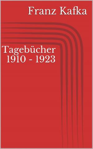 Book cover of Tagebücher 1910 - 1923