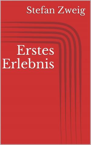 Cover of the book Erstes Erlebnis by Astrid Olsson, Mattis Lundqvist