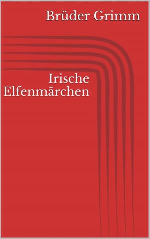 Book cover of Irische Elfenmärchen
