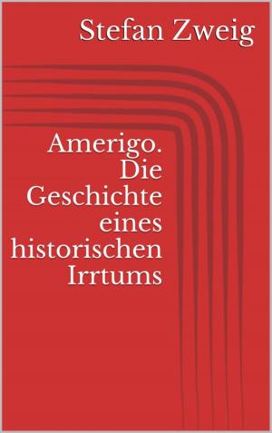 Cover of the book Amerigo. Die Geschichte eines historischen Irrtums by Rittik Chandra
