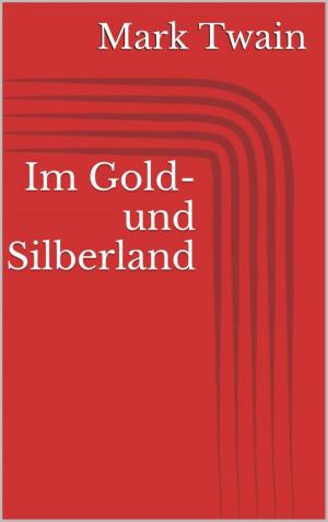 Cover of the book Im Gold- und Silberland by Friedrich Gerstäcker
